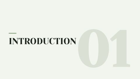 Slide 3