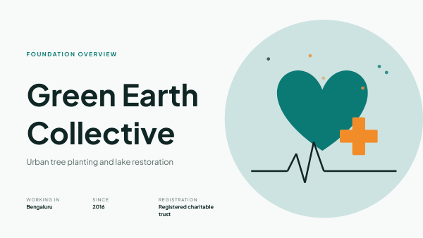 Green Earth Collective (Teal Orange) — preview
