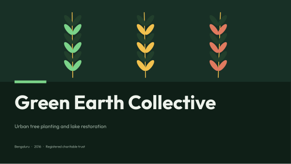 Green Earth Collective (Forest Night) — preview