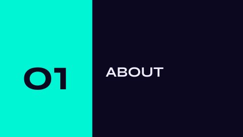 Slide 3