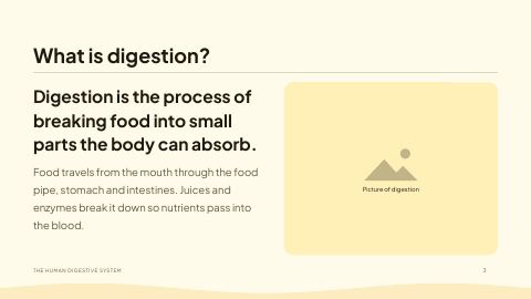 Slide 3