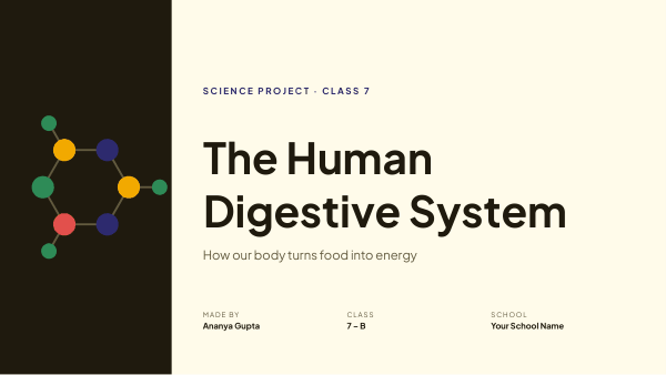 The Human Digestive System — preview