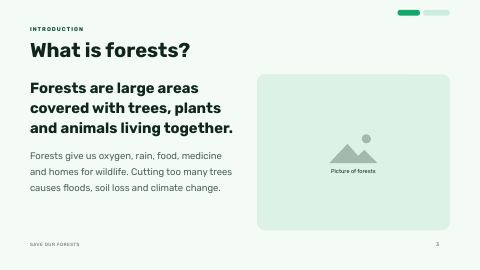 Slide 3