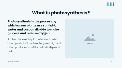 Slide 3