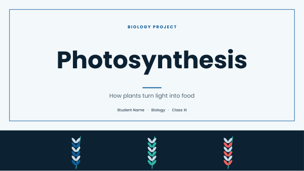 Photosynthesis (Ocean) — preview