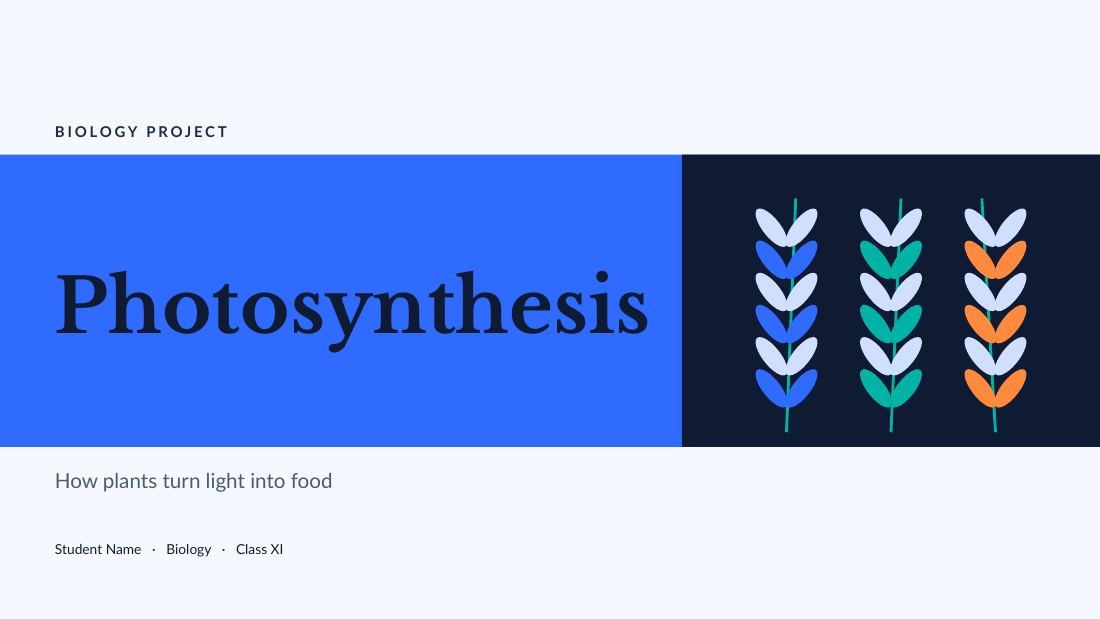 Photosynthesis (Sky) — cover slide