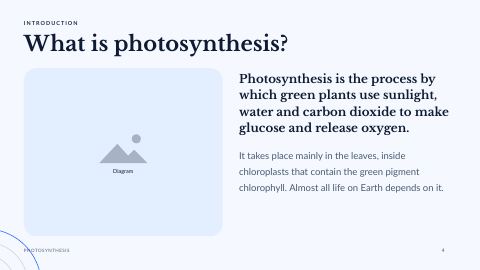 Slide 4