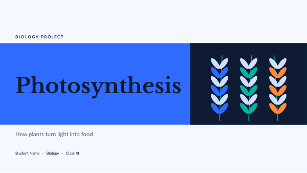 Photosynthesis (Sky) — preview