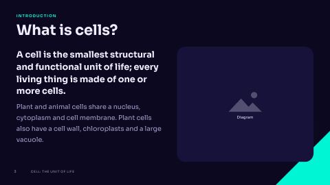 Slide 3