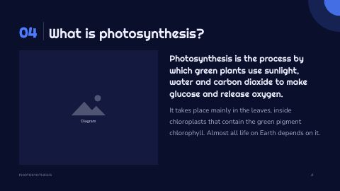 Slide 4