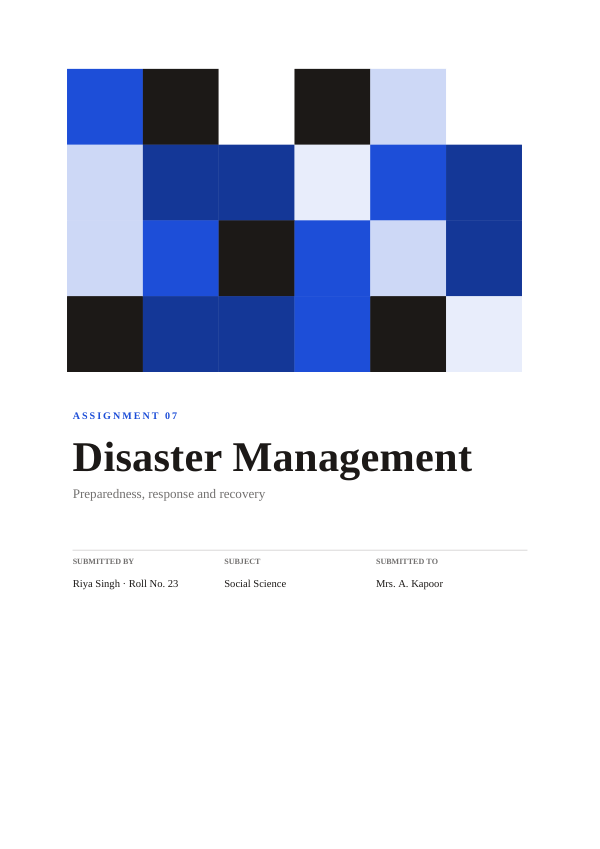 Disaster Management (Geometric · Times New Roman) — preview