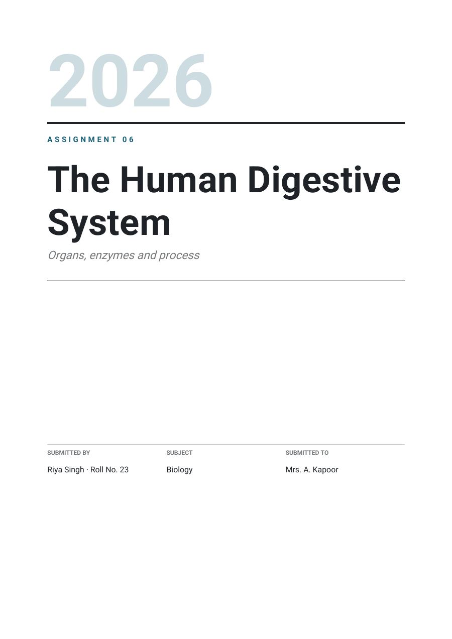 The Human Digestive System — page 1