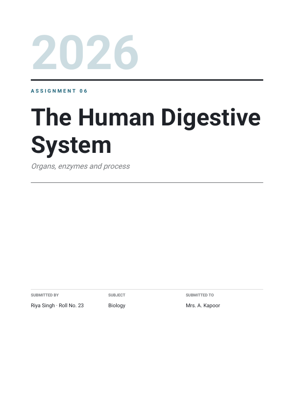 The Human Digestive System — preview