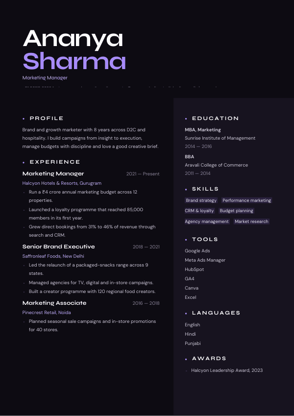 Velvet Night — resume template preview