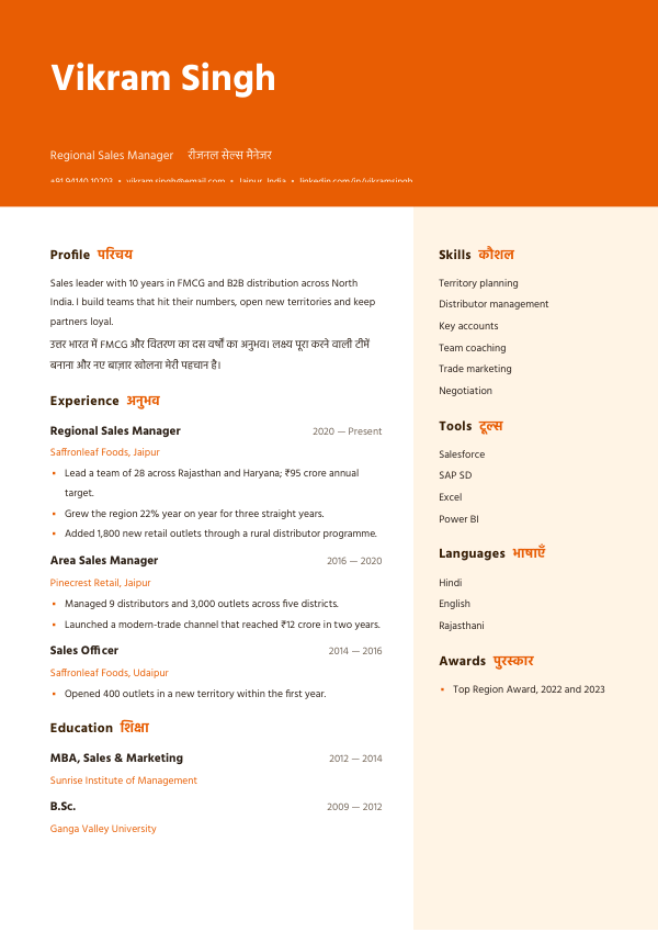 Bazaar Bold — resume template preview